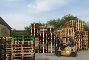 Staff JBJ Pallets