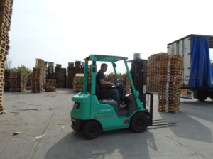 Staff JBJ Pallets ltd