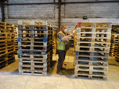 Our Staff producing high quality pallets